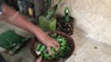 make village cooking video for your youtube