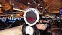 have paulie the penguin crooner create a custom puppet video
