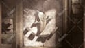 create 3d ancient stone door open logo reveal intro animation