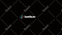 make perfect social media pop up animation
