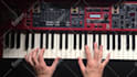 give you piano, synth and music lessons