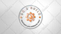 create a amazing professional custom animation for your logo