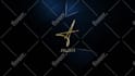 create 3 amazing professional golden logo intro animation