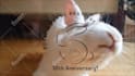 make this bunny licking your logo or text video
