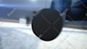 create awesome hockey logo intro or animation