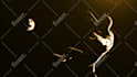 cool soccer logo animation or youtube intro