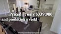 do professional video editing within 24 hours
