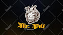 video intro outro of horse, wolf, lion or panther, logo animation