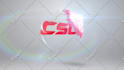 design and create youtube logo animation and video intro