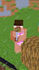 make custom minecraft animation for you