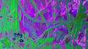 craft a vibrant glitchy and psychedelic lyric video for your song