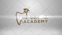 create logo animation intro video for your brand