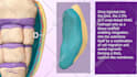 do high quality 3d medical animation and illustration