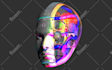 create custom 3d and 2d nft art with premium traits