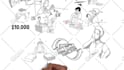 create 2d whiteboard animation explainer videos for you