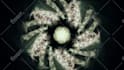 make trippy animated music video and lyric videos