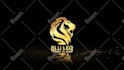 design youtube intro outro or logo animation