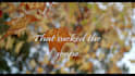 make an amazing animated lyric video