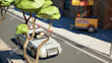 create your dream roblox animation for you