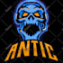 animate your discord avatar