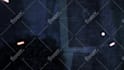 color grading, vfx compositing, and rotoscoping