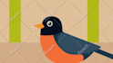 create 2d animation for kids