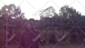 record a video at taj mahal