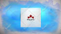 do stunning catchy custom logo animation or intro