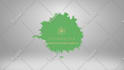 create 20 short quick clean logo intro sting animation