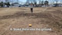 create an engaging ugc video with my dog