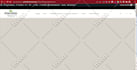 develop a responsive ecommerce wordpress website