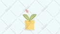 create professional 2d animation and motion graphics