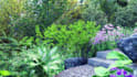 develop architectural design,realistic image render,3d model