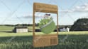create you an entire custom nft art and collection