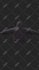 create 3d model, animation, rigging, and texturing