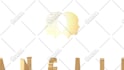 create luxury gold video intro logo animation in 4k