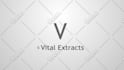 create this MINIMALIST Video Intro