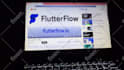 develop ai mobile app, flutter developer, flutterflow app