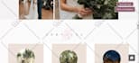 build wix website design and redesign, wix seo, wix website landing page