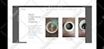 design and develop a professional webflow website