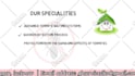 create termites control or pest control explainer video