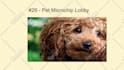 convert powerpoint to full HD video pptx to video