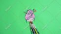create hand drawn stop motion animations