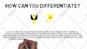 do pro whiteboard explainer videos , fast delivery