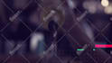 do a dj night club, dance pool party event promo video