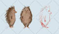 design characters and illustrations