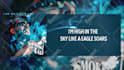 animate your  lyric video