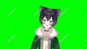 design and model live2d or vtuber anime for you