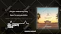 make clean audio spectrum or music visualizer with lyrics