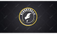 vectorize, fix, edit, design or redesign your logo